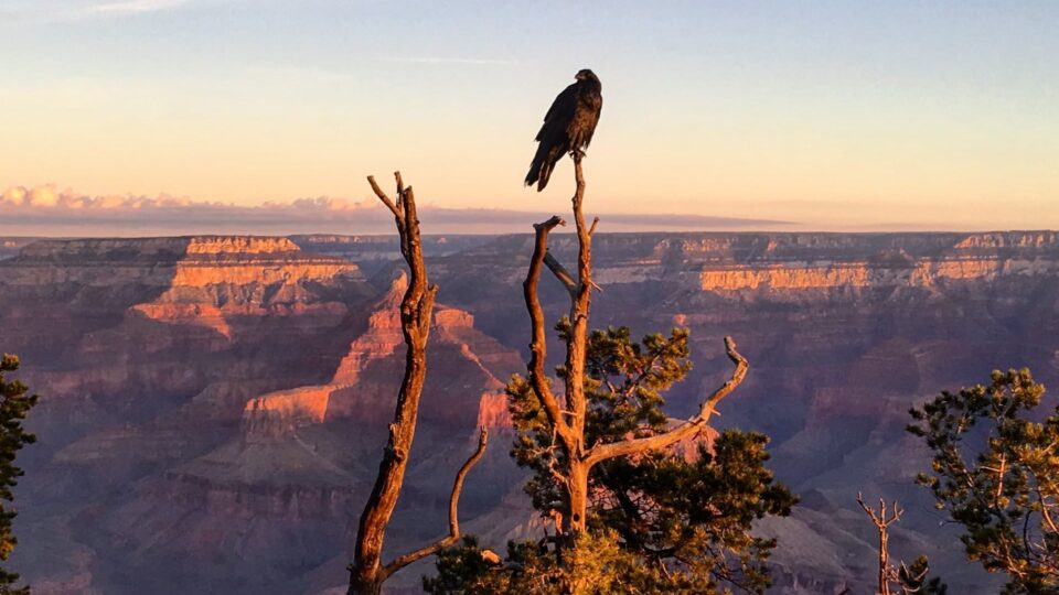 Zachód słońca Wielki Kanion USA